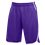 Шорты Jordan Team Flight Shorts