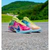 Nike LeBron XXII What The Currency"