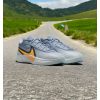 Nike Giannis Freak 6 Ashen Slate