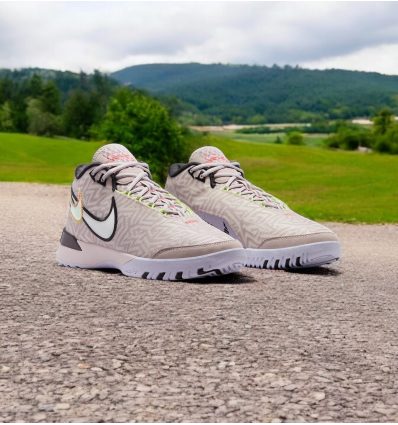 Nike LeBron NXXT Genisus Platinum Violet