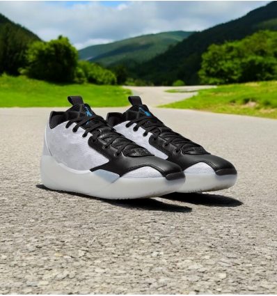 Air Jordan XXXIX 39 Croix