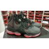 Nike Lebron 19