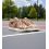 Nike Book 1 Desert Camo