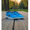 Nike LeBron Witness 9 Blue