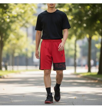 Шорты Jordan Air Shorts