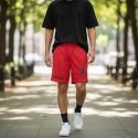Шорты Jordan Dri-Fit Sport Bc Mesh Red